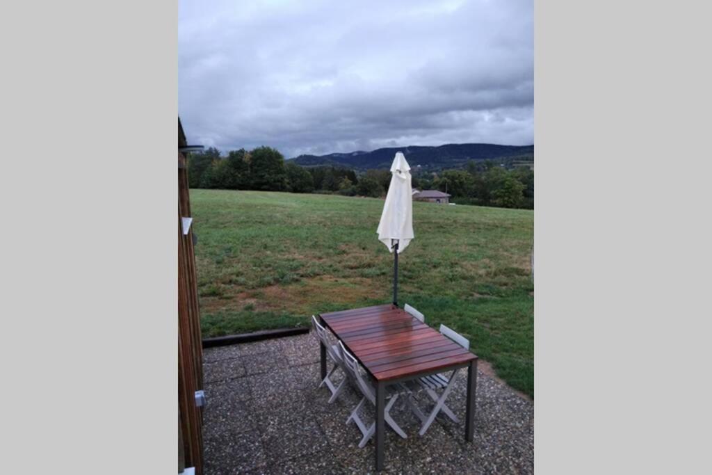 Studio De Jardin Cosy Avec Vue Panoramique Βίλα Neuvillers-sur-Fave Εξωτερικό φωτογραφία